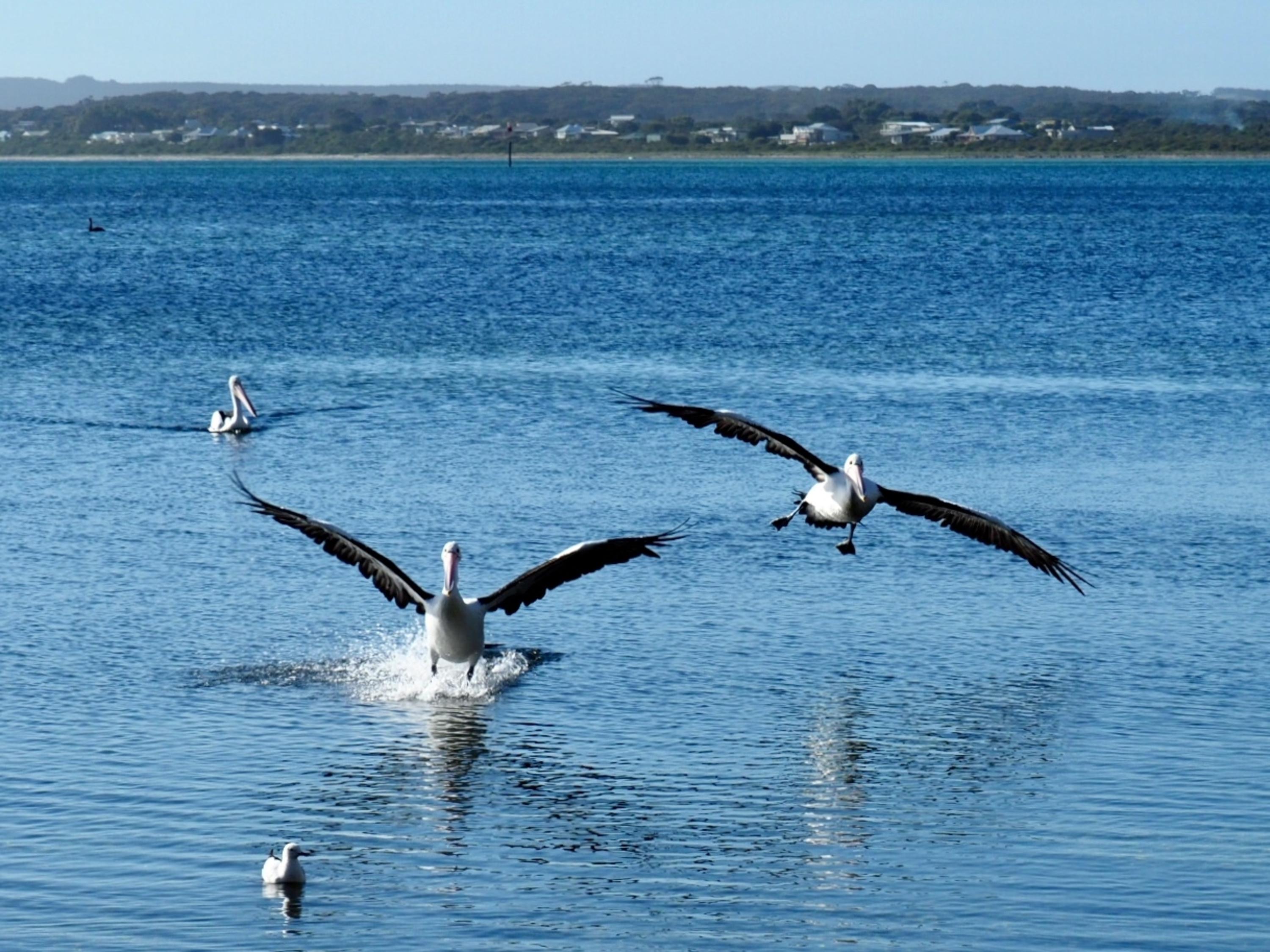 Mercure Kangaroo Island Lodge American River Zewnętrze zdjęcie