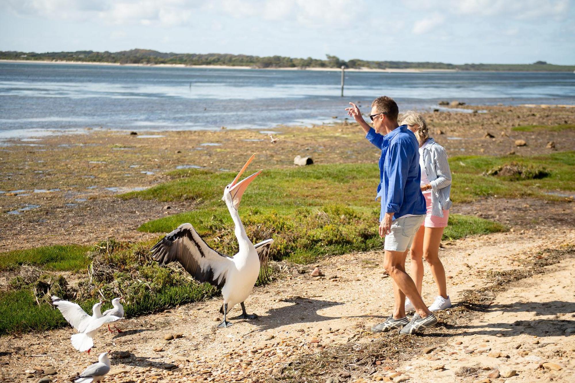 Mercure Kangaroo Island Lodge American River Zewnętrze zdjęcie