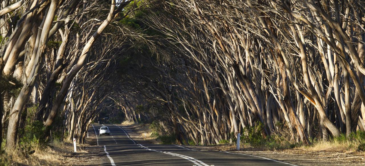 Mercure Kangaroo Island Lodge American River Zewnętrze zdjęcie