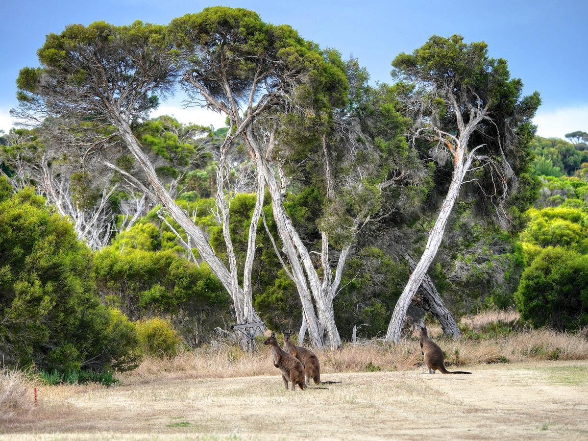 Mercure Kangaroo Island Lodge American River Zewnętrze zdjęcie